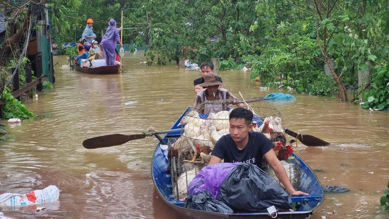 Lũ sông Thao vượt mức lịch sử, nước sông Hồng dâng cao ảnh hưởng một số vùng ở Hà Nội ảnh 17