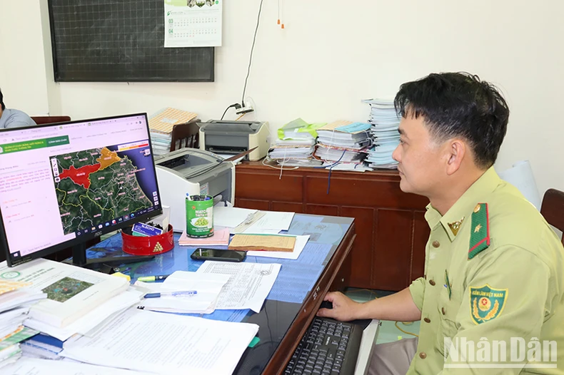 Kinh tế số “chìa khóa” phát triển bền vững nông nghiệp Quảng Ngãi ảnh 3
