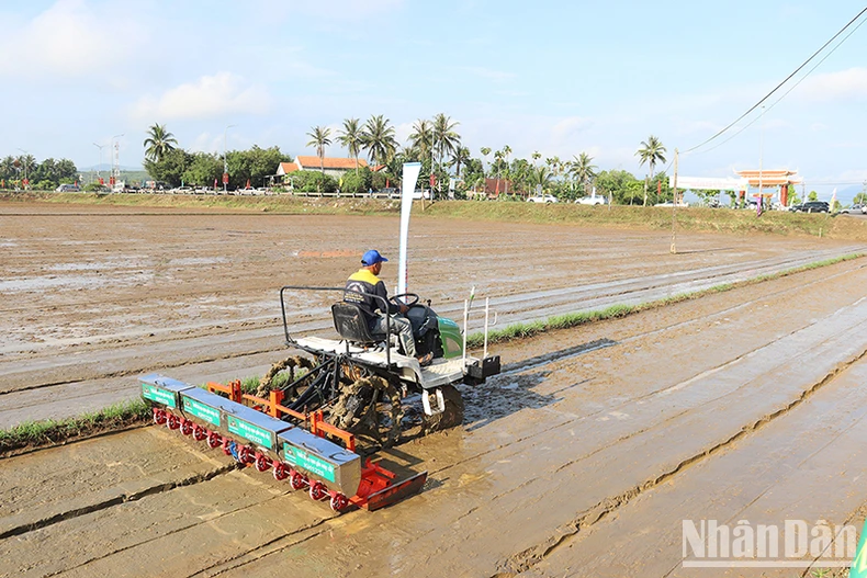 Ứng dụng khoa học và công nghệ trong sản xuất nông nghiệp ở Quảng Ngãi ảnh 3