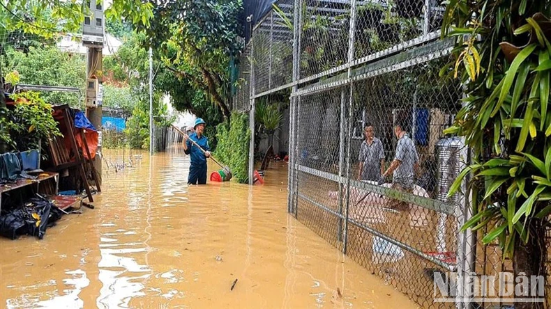 “4 tại chỗ” giúp dân khắc phục hậu quả thiên tai ở Cao Bằng ảnh 1