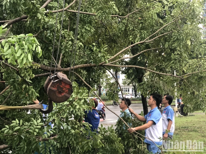 [Live] Khẩn trương khắc phục hậu quả, cứu người mắc kẹt, mất tích trong bão số 3 ảnh 11