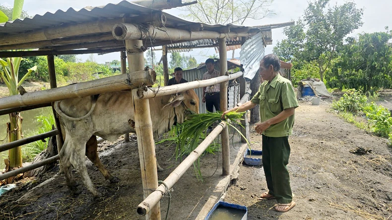 Giúp người dân vùng biên giới phía bắc Tây Nguyên làm kinh tế ảnh 1