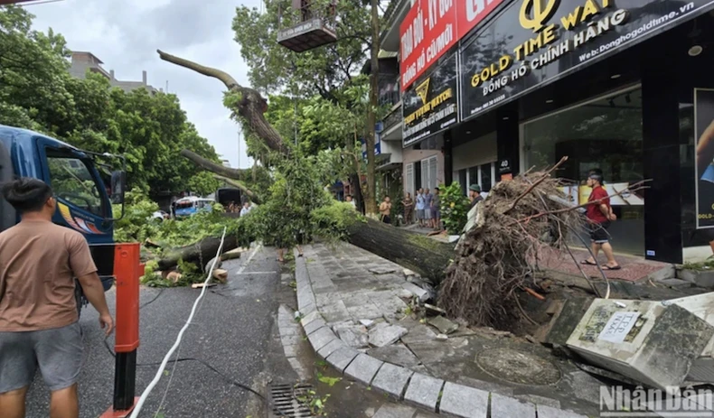 [Live] Khẩn trương khắc phục hậu quả, cứu người mắc kẹt, mất tích trong bão số 3 ảnh 29