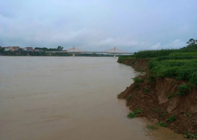 Vĩnh Phúc: Bờ sông Lô sạt lở 700m, uy hiếp tính mạng người dân ảnh 2