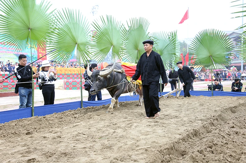 Hàng vạn người tham dự Lễ hội Lồng Tông tại Tuyên Quang ảnh 2