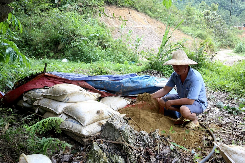 Tuyên Quang: Xử lý vi phạm đất đai của Công ty Quang Thắng ảnh 2