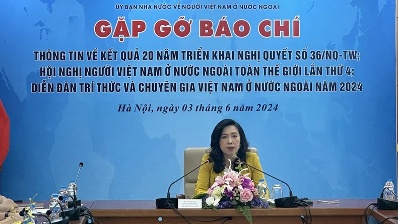 Nhìn lại 20 năm thực hiện Nghị quyết 36-NQ/TW về công tác đối với người Việt Nam ở nước ngoài ảnh 2