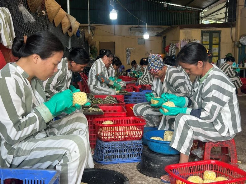 Các phạm nhân chưa được đề nghị xét đặc xá tiếp tục phấn đấu học tập, cải tạo tốt.