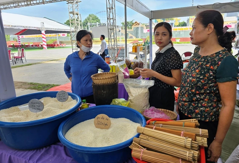 Tích tụ, tập trung đất, sản xuất nông nghiệp quy mô lớn, công nghệ cao ở Thanh Hóa ảnh 3