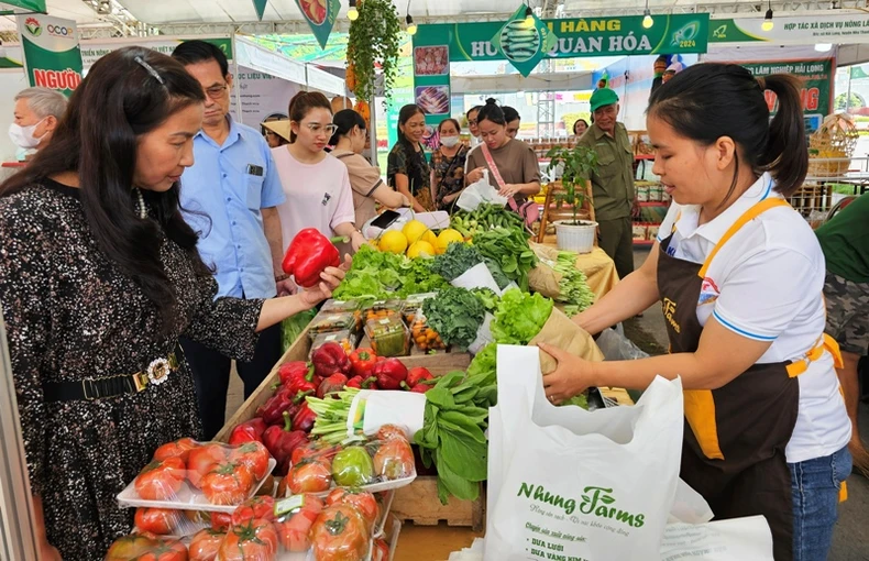 Tích tụ, tập trung đất, sản xuất nông nghiệp quy mô lớn, công nghệ cao ở Thanh Hóa ảnh 7