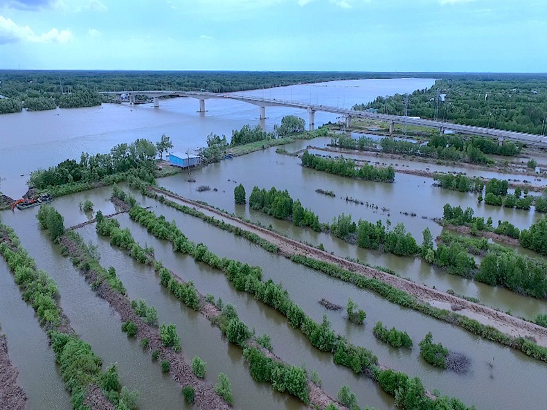 Dòng sông đặc biệt ở Cà Mau ảnh 4