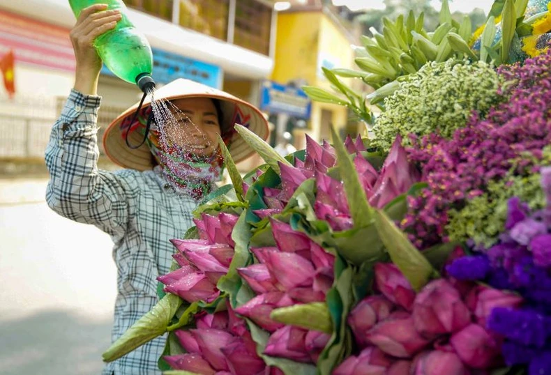 Nhiều hoạt động hấp dẫn trong Lễ hội Sen Tây Hồ ảnh 2