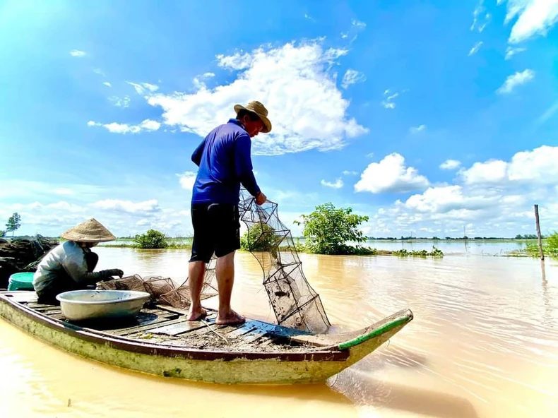 Miền Tây ngóng lũ ảnh 1