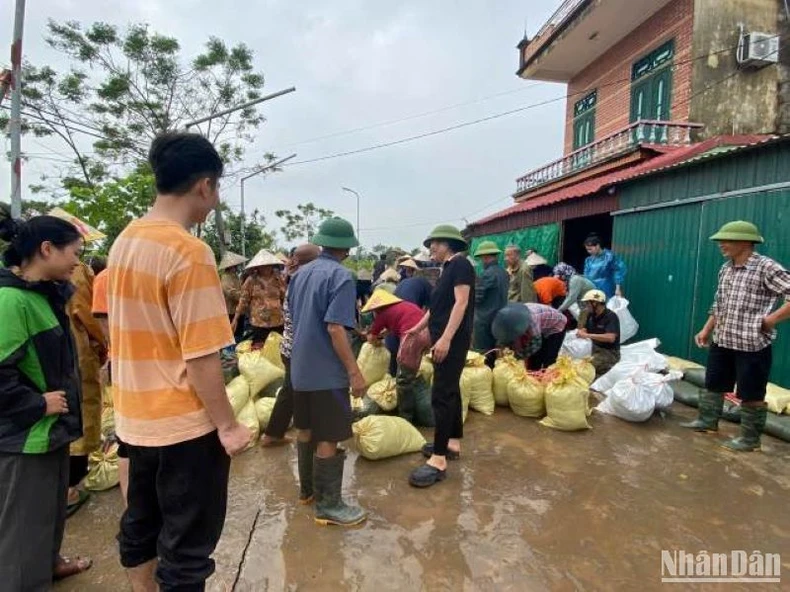 Thái Bình: Sơ tán hơn 4.000 dân, xử lý chống tràn một số tuyến đê bối ảnh 3