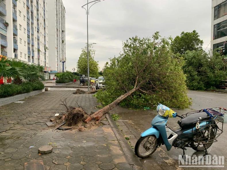 [Live] Khẩn trương khắc phục hậu quả, cứu người mắc kẹt, mất tích trong bão số 3 ảnh 27