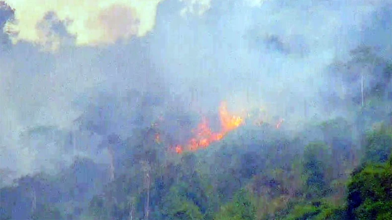 Lâm Đồng: Bố trí cán bộ kiểm lâm trực tại các Trung tâm IOC để sớm phát hiện cháy rừng ảnh 1