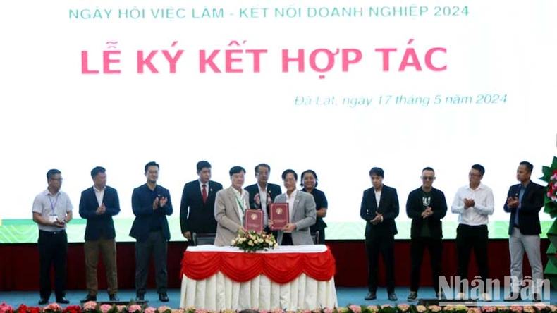 Hơn 3.000 vị trí việc làm dành cho sinh viên Trường Đại học Đà Lạt ảnh 3