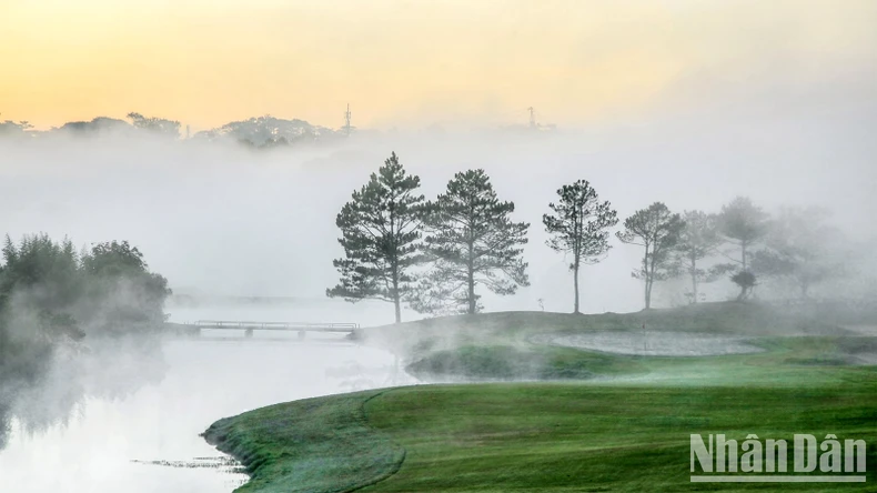 Sân golf Đồi Cù Đà Lạt không còn diện tích rừng phòng hộ ảnh 3