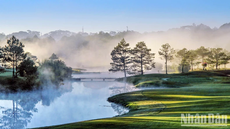 Lâm Đồng thông tin về việc không còn diện tích rừng phòng hộ trong sân golf Đà Lạt ảnh 1