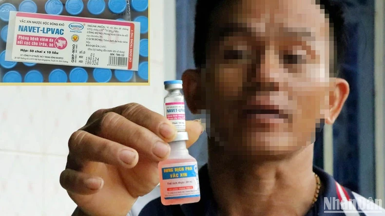 Bò sữa bị bệnh và chết tại Lâm Đồng đều đã tiêm vaccine phòng viêm da nổi cục ảnh 1