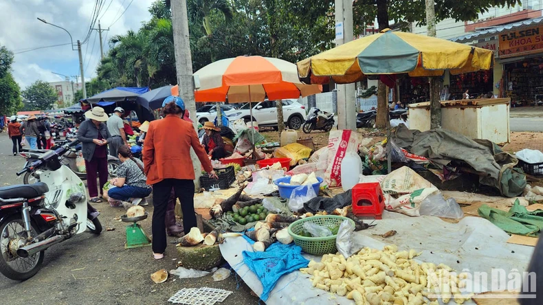 Hoàn tất việc tháo dỡ hàng chục lều, quán dựng trái phép tại chợ Bảo Lộc ảnh 3