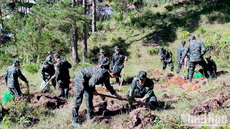 Tuổi trẻ Lâm Đồng trồng hơn 2.000 cây xanh tại thành phố Đà Lạt ảnh 4