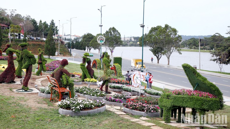 Hàng chục điểm tham quan miễn phí dịp Festival Hoa Đà Lạt ảnh 3