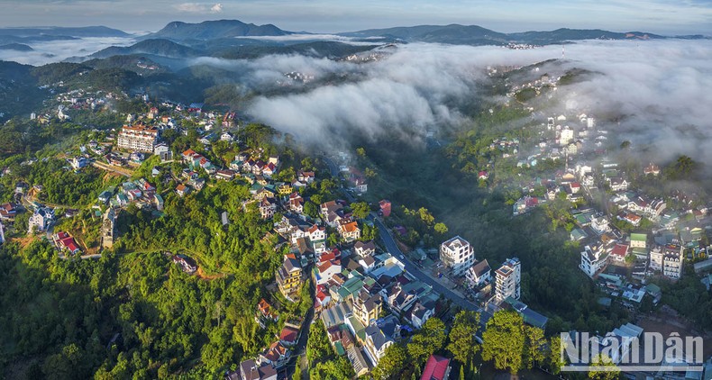 Chiêm ngưỡng vẻ đẹp Đà Lạt qua lăng kính nghệ thuật “những sắc màu thành phố ngàn hoa” ảnh 12