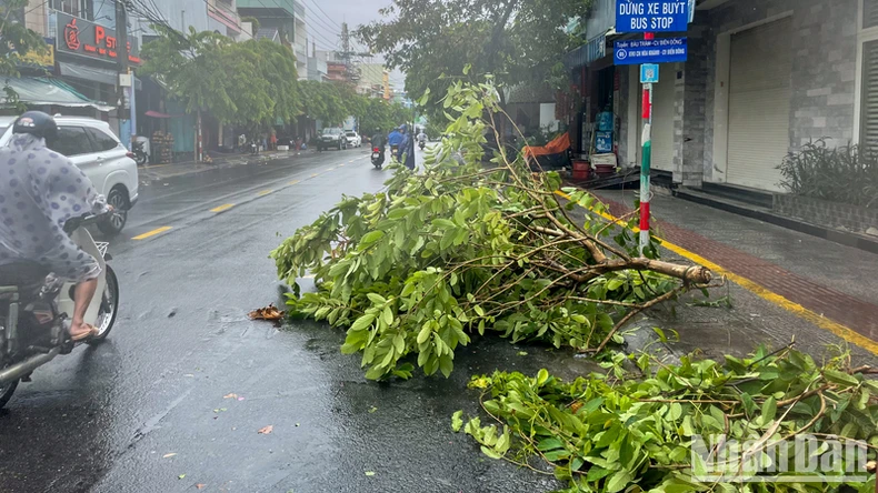 Sức gió áp thấp nhiệt đới quật đổ nhiều cây xanh tại Đà Nẵng ảnh 1