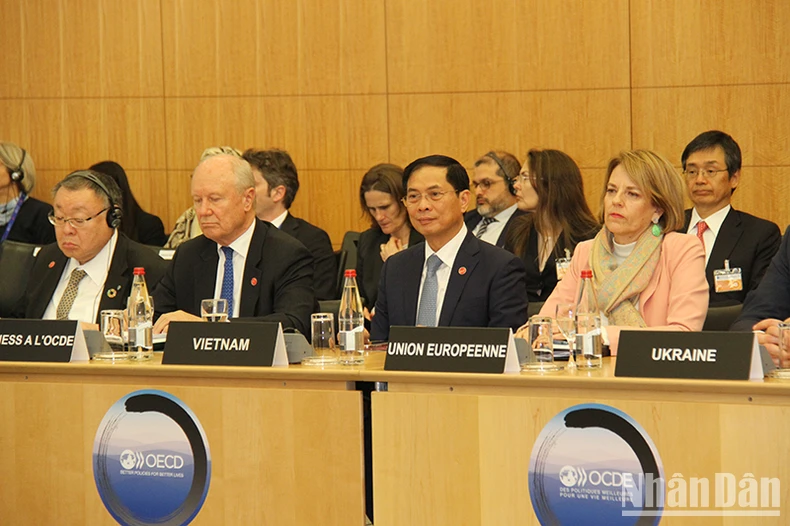 Bộ trưởng Ngoại giao Bùi Thanh Sơn dự Hội nghị Hội đồng Bộ trưởng OECD năm 2024 ảnh 4