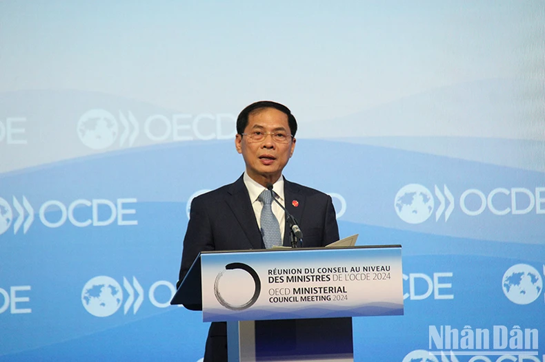 Bộ trưởng Ngoại giao Bùi Thanh Sơn dự Hội nghị Hội đồng Bộ trưởng OECD năm 2024 ảnh 3
