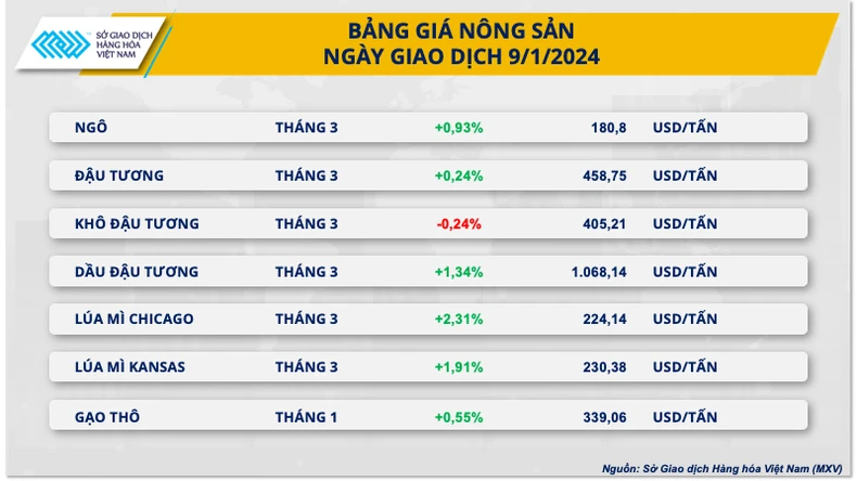 Giá ngô hồi phục nhẹ khi Nam Mỹ liên tục đẩy hàng ra thị trường ảnh 1