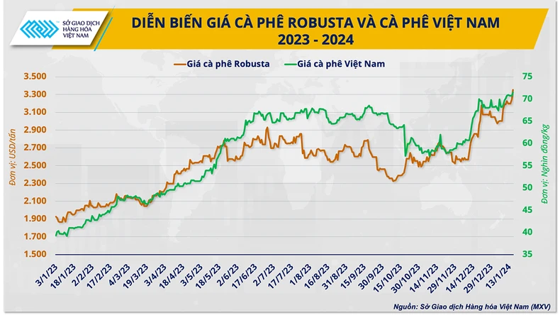 Cánh cửa rộng mở cho xuất khẩu cà-phê năm 2024 chinh phục đỉnh cao mới ảnh 2