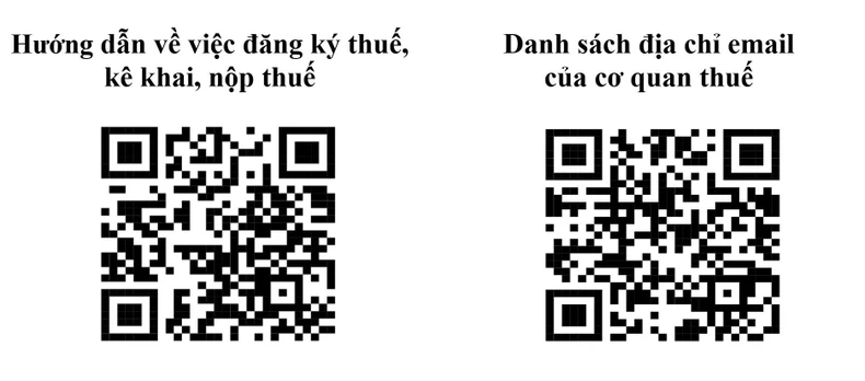 Đề nghị các tổ chức, cá nhân kinh doanh thương mại điện tử đăng ký thuế, kê khai và nộp thuế ảnh 1