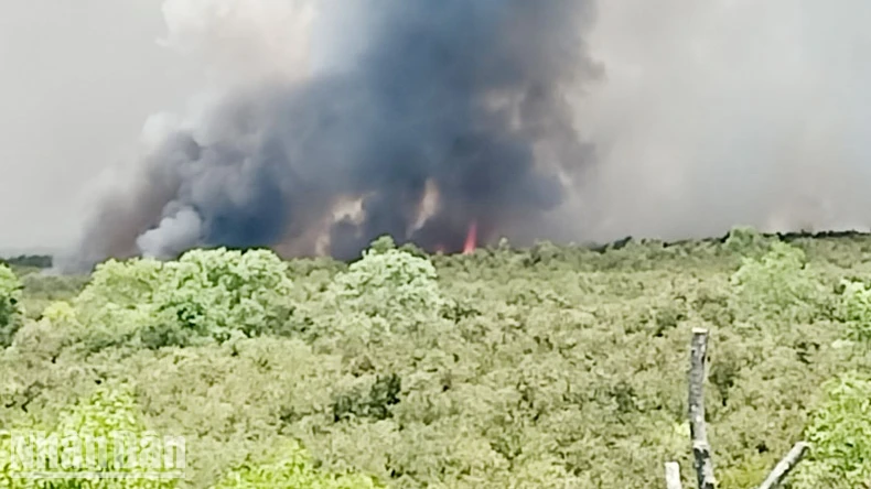 Kiên Giang: Vụ cháy rừng ở huyện Giang Thành thiệt hại khoảng 371ha ảnh 2