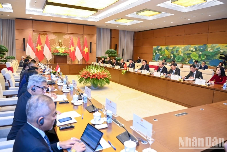 Việt Nam và Indonesia cùng hướng tới nâng quan hệ Đối tác chiến lược lên tầm mức mới ảnh 4