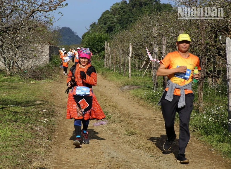 Gần 4.000 vận động viên tham gia giải chạy Marathon đường mòn Việt Nam ảnh 5