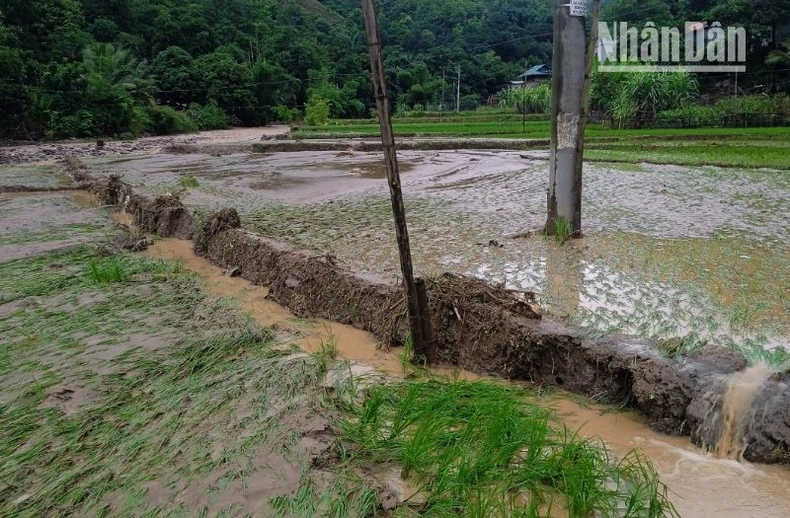 Mưa lớn kéo dài, giao thông ở Sơn La tiềm ẩn nhiều nguy hiểm ảnh 7