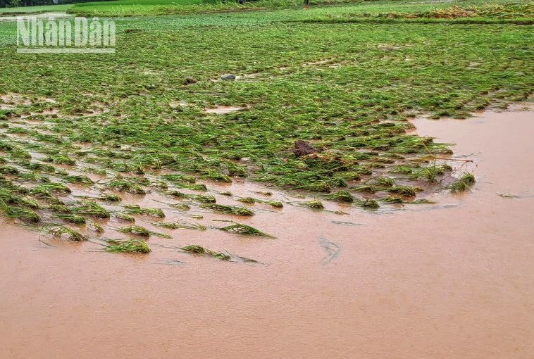 Mưa lớn kéo dài, giao thông ở Sơn La tiềm ẩn nhiều nguy hiểm ảnh 6