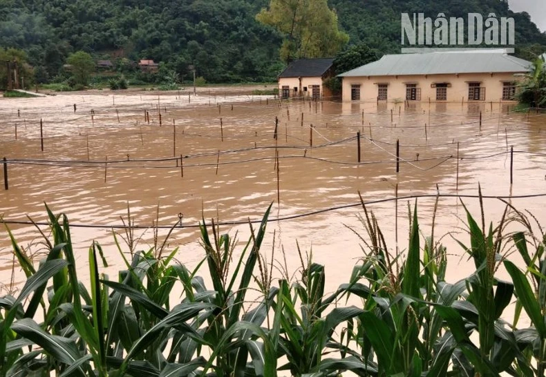 2 người chết, 4 người mất tích và nhiều tài sản thiệt hại do mưa lũ ở Sơn La ảnh 4