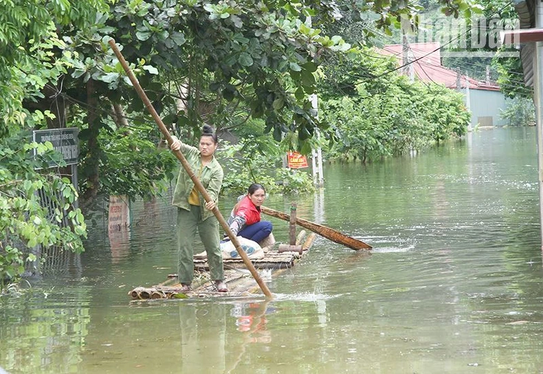 Phó Thủ tướng Lê Thành Long kiểm tra vùng ngập lũ Sơn La ảnh 1