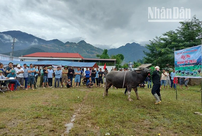 Sơn La: Hàng nghìn người tham gia Lễ hội mừng cơm mới xã Ngọc Chiến ảnh 9