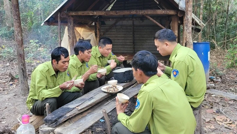 Trực Tết ở Vườn Quốc gia Kon Ka Kinh: Vì tình yêu với rừng ảnh 1