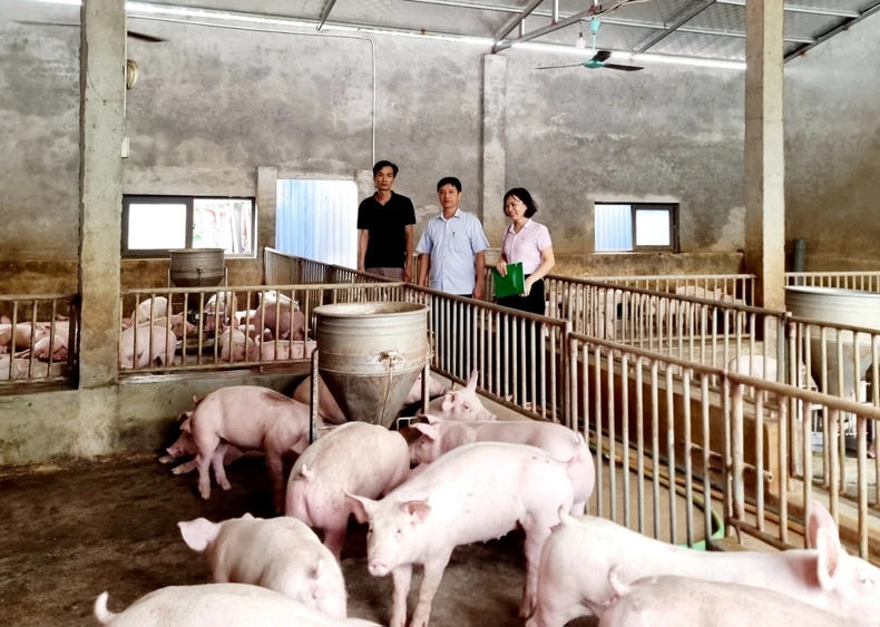 Hưng Yên: Tổng dự nợ cho vay tăng hơn 13% ảnh 2