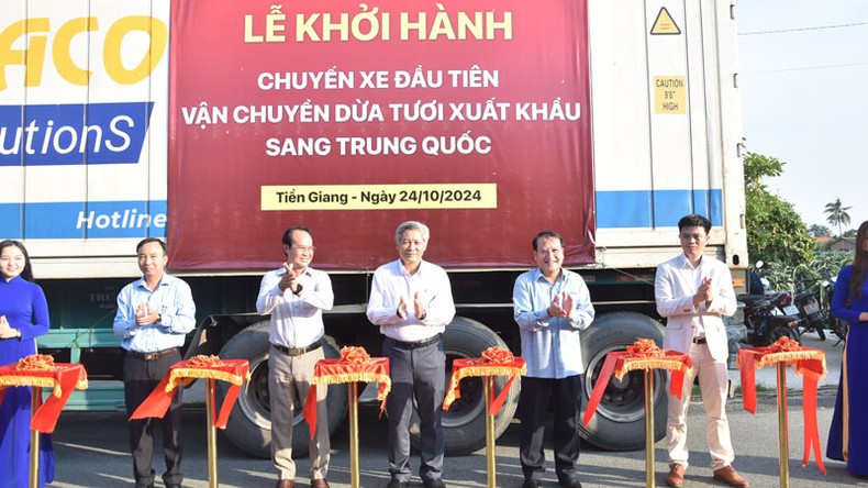 Tiền Giang xuất khẩu lô dừa chính ngạch đầu tiên sang Trung Quốc ảnh 2