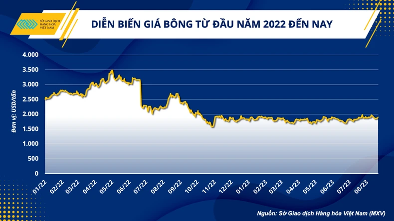 Ngành dệt may Việt Nam đang đi lên từ ‘đáy xấu nhất’ ảnh 1