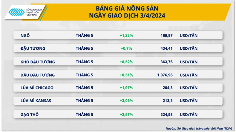 Giá ngô hồi phục mạnh từ vùng đáy 1 tháng qua ảnh 2