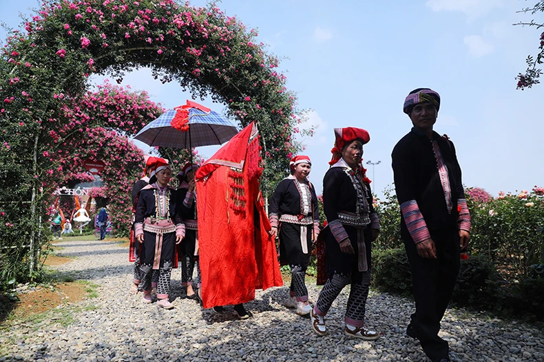Sa Pa tổ chức Lễ hội Hoa hồng Fansipan quy mô kéo dài hơn 2 tháng ảnh 3