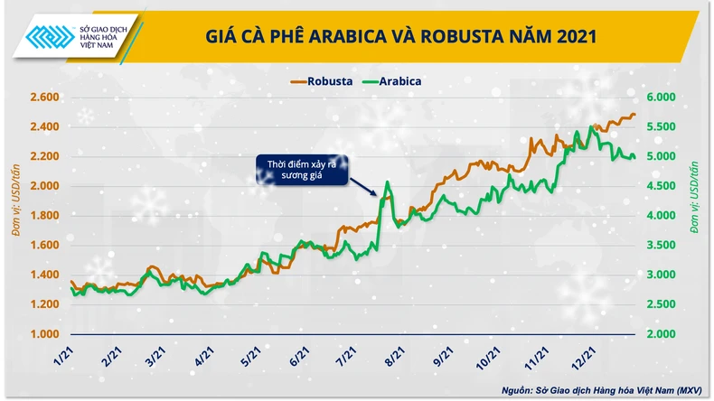 La Nina thay thế El Nino, giá cà-phê có thể lập đỉnh mới vào cuối năm ảnh 3