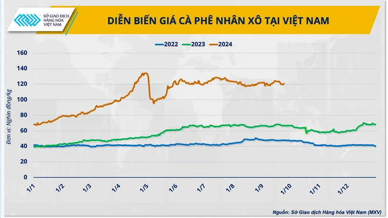 Hướng đi giúp cà-phê Việt vững bước trên ‘hành trình giá’ mới ảnh 1